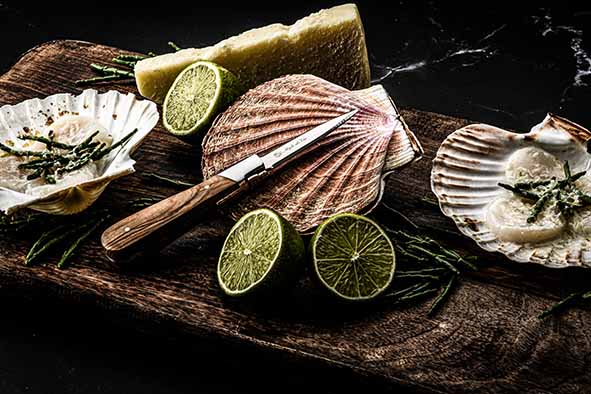 LUXURY LINE OESTERMES 2PCS MET SILICONE HANDBESCHERMER